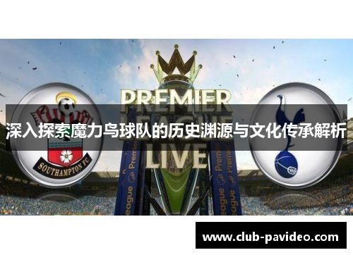 深入探索魔力鸟球队的历史渊源与文化传承解析